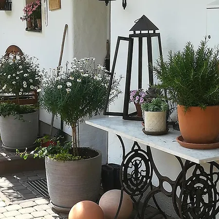 Auerhof * Schladming