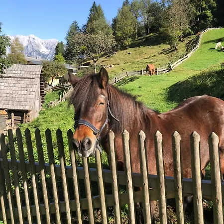 Auerhof Farmház Schladming