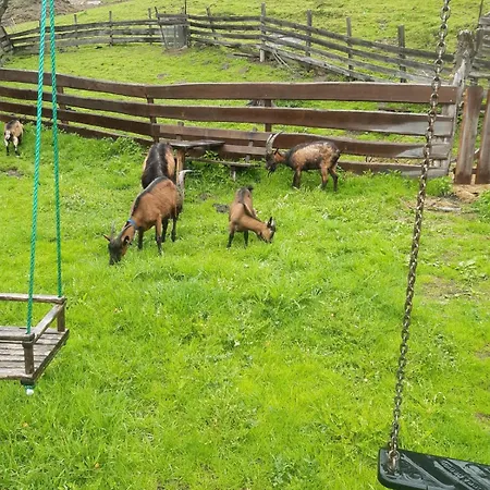 Auerhof * שלאדמינג