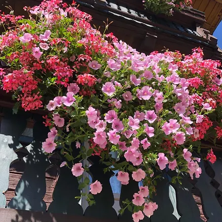 Auerhof בית חווה