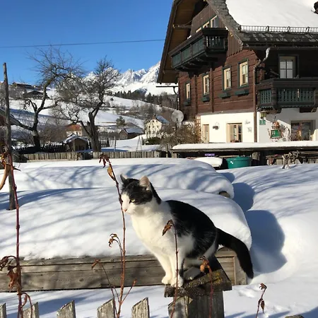 Farmház Auerhof Schladming