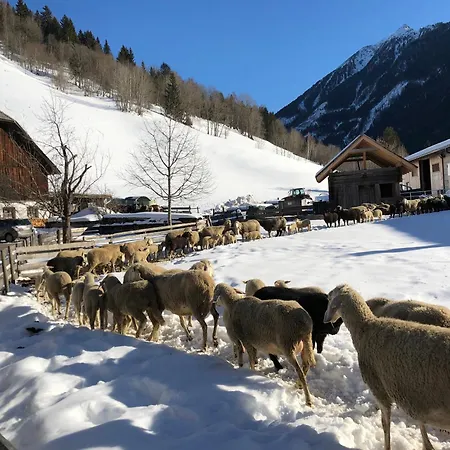 Auerhof * Schladming