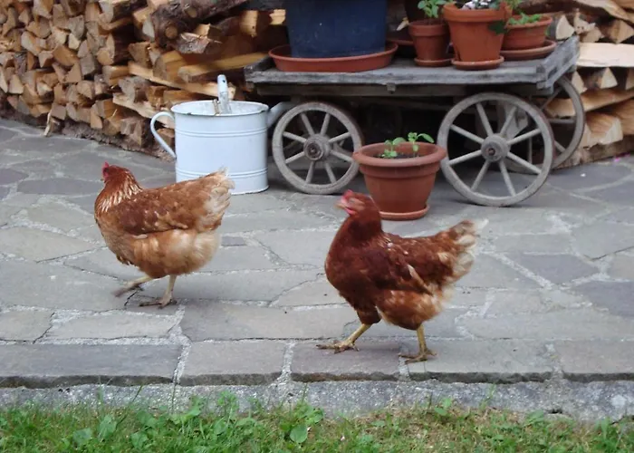 Auerhof * Schladming