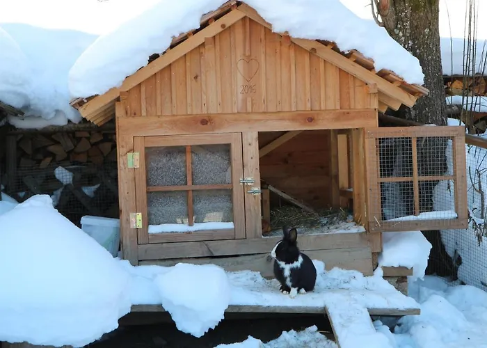 Farm stay Auerhof Schladming