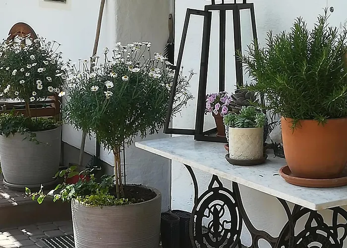 Auerhof * שלאדמינג