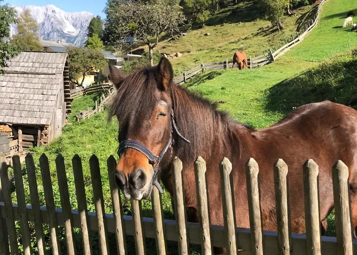 Auerhof Gospodarstwo agroturystyczne Schladming