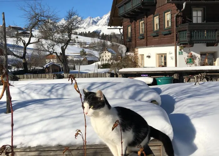 Farm stay Auerhof Schladming