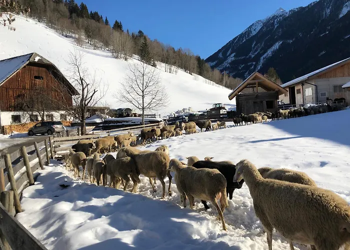 Auerhof * שלאדמינג